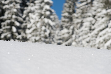 Image showing snow background