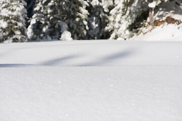 Image showing snow background