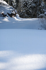 Image showing winter landscape in forest at sunset