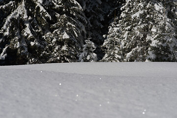 Image showing snow background