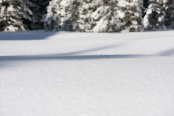 Image showing snow background