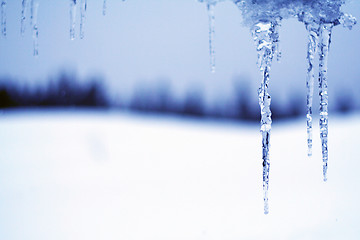 Image showing Cold ice hanging in front of you