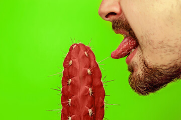 Image showing Man touching sharp cactus by tongue