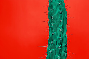 Image showing Cactus Fashion Set Design. Minimal Stillife. Trendy Bright Colors.