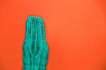 Image showing Cactus Fashion Set Design. Minimal Stillife. Trendy Bright Colors.