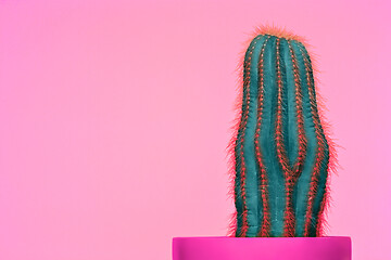 Image showing Cactus Fashion Set Design. Minimal Stillife. Trendy Bright Colors.