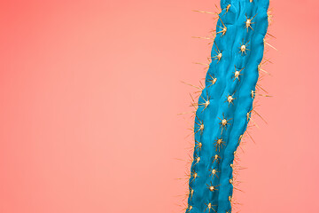 Image showing Cactus Fashion Set Design. Minimal Stillife. Trendy Bright Colors.