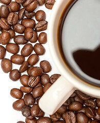 Image showing Coffee Beans Shows Hot Drink And Beverage  