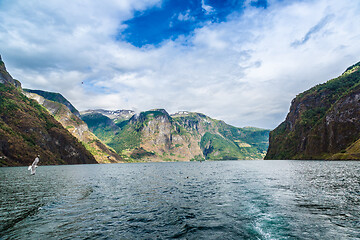 Image showing Sognefjord in Norway