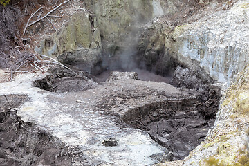 Image showing geothermal activity at Rotorua in New Zealand