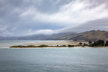 Image showing landscape at Taiaroa Head New Zealand