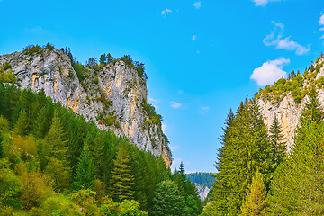 Image showing Rhodope Mountains in Bulgaria