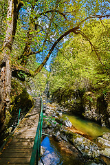 Image showing The Devin River Valley