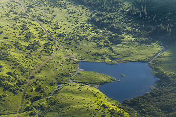 Image showing Alpine meadow in beautiful Rodna mountains in Romania