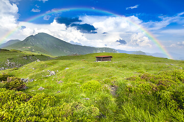 Image showing Alpine meadow in beautiful Rodna mountains in Romania