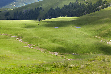 Image showing Green meadows in the mountains near Farkeu mountain in Romania