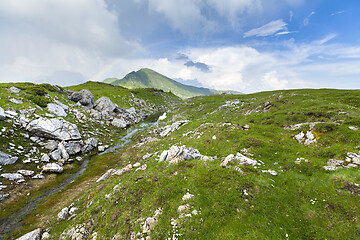 Image showing Alpine meadow in beautiful Rodna mountains in Romania