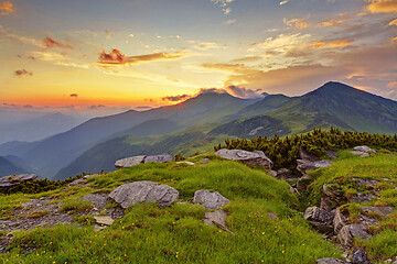 Image showing Alpine meadow in beautiful Rodna mountains in Romania