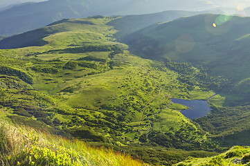 Image showing Alpine meadow in beautiful Rodna mountains in Romania