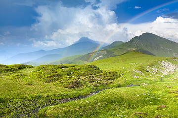 Image showing Alpine meadow in beautiful Rodna mountains in Romania