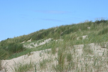 Image showing dune