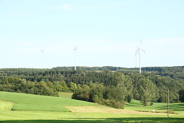 Image showing forested mountain 