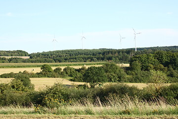 Image showing fields and forest