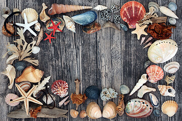 Image showing Seashell Driftwood & Pebble Abstract Background