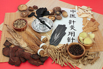 Image showing Acupuncture Needles used in Traditonal Chinese Medicine