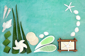 Image showing Aloe Vera Vegan Skin Care Beauty Treatment