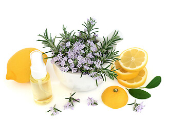 Image showing Rosemary Herb and Lemon Vegan Skin Care