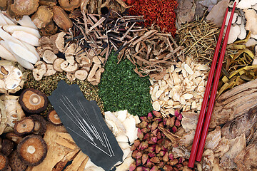 Image showing Chinese Herbal Medicine with Acupuncture Needles