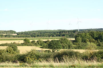 Image showing  fields and forest