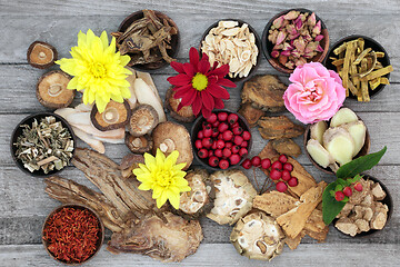 Image showing Chinese Herbs used in Traditional Chinese Herbal Medicine