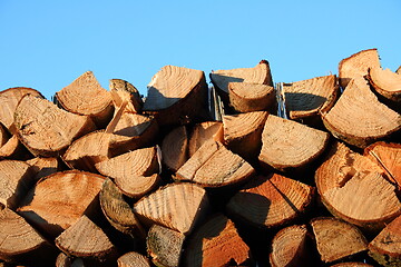Image showing piled logs