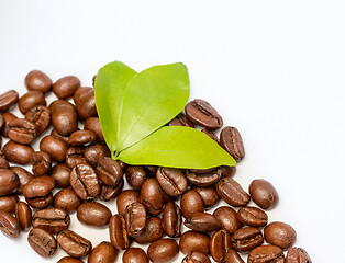 Image showing Coffee Beans Fresh Represents Hot Drink And Barista 