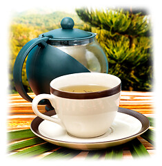 Image showing Refreshing Green Tea Indicates Beverages Teas And Cafes 