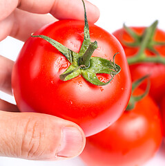 Image showing Inspecting a fresh ripe red tomato for eating 