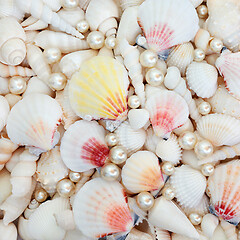 Image showing Abstract Seashell and Pearl Background