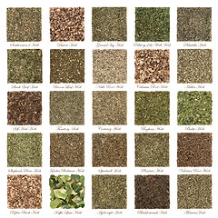 Image showing Large Medicinal Herb Selection used in Alternative Herbal Medicine