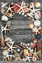 Image showing Abstract Composition of  Natural Seaside Objects  