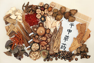 Image showing Dried Herbs used in Chinese Herbal Medicine.