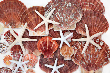 Image showing Starfish and Scallop Seashell Abstract Background