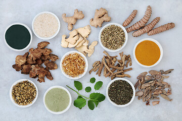 Image showing Herbs and Spice to Treat Irritable Bowel Syndrome 