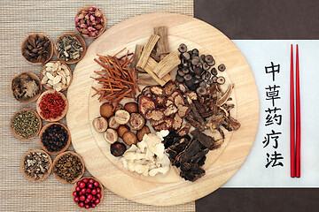 Image showing Traditional Chinese Herbal Therapy