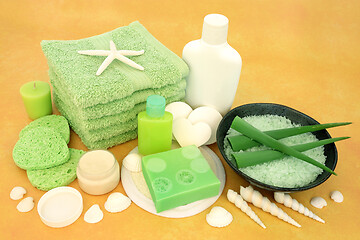 Image showing Skincare Beauty Treatment with Aloe Vera