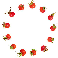 Image showing Rosehip Fruit Abstract Wreath