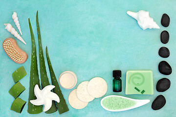 Image showing Aloe Vera Spa Beauty Treatment