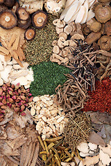 Image showing Traditional Chinese Herbs