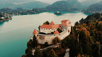 Image showing Aerial view of Lake Bled and the castle of Bled, Slovenia, Europe. Aerial drone photography.
